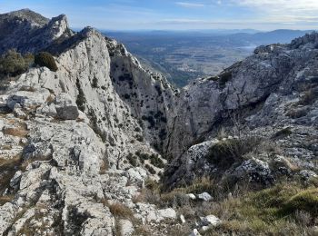 Excursión Ruta Vauvenargues - Vauvenargues  - Photo