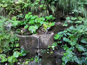 Trail On foot Erbezzo - Sentiero n. 3 - Malga Lessinia - Photo