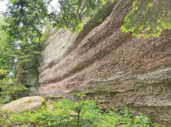 Excursión Senderismo Badonviller - La Vierge Clarisse VOSGES - Photo