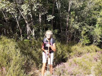 Excursión Senderismo Sorges et Ligueux en Périgord - sorges ouest bois - Photo