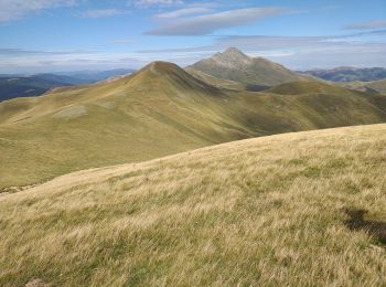 Tour Wandern Ochagavía/Otsagabia - ours - Photo