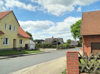 Tour Zu Fuß Wunstorf - S3 Rundweg um Steinhude-Großenheidorn - Photo