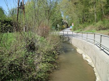 Tocht Te voet Haselsdorf-Tobelbad - Haselsdorf-Tobelbad 2 - Photo