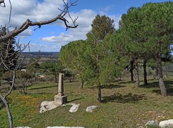 Tocht Mountainbike Remoulins - Vtt montfrin aramon saze - Photo