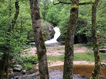 Trail Walking Gouloux - Saut du Gouloux - Photo