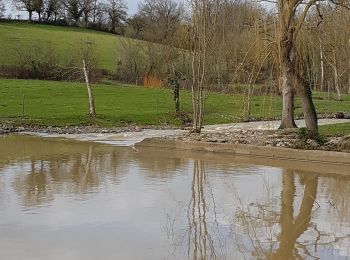 Randonnée Marche Chemillé-en-Anjou - Chanzeaux - Photo