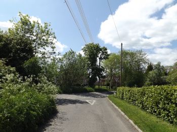 Trail On foot South Norfolk - Diss Circular Walk - Photo