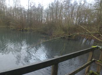 Trail Walking Waremme - Waremme Marche - Photo