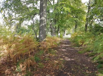 Randonnée Marche Diepenbeek - Diepenbeek - Photo