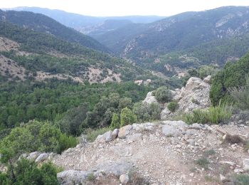 Tocht Te voet Vistabella del Maestrat - Sant Joan - Sant Joan por Mas de Macén - Photo