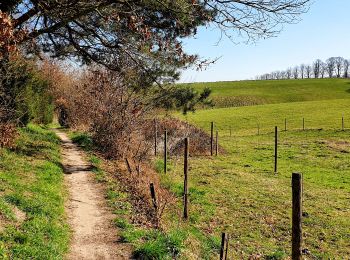 Percorso Marcia Wavre - GSK - Gastuche - Photo