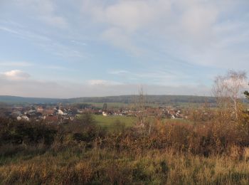 Tocht Stappen Mailley-et-Chazelot - Grand tour - Photo