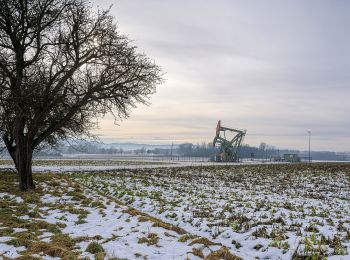 Randonnée A pied Kremsmünster - Kremsmünsterer Rundwanderweg 10 - Photo