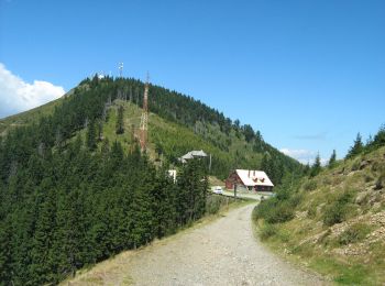 Percorso A piedi Călimănești - gara CFR Mănăstirea Turnu - Refugiul Turneanu - Cabana Cozia - Photo