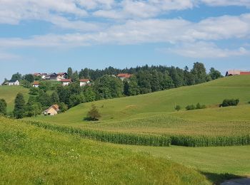 Tocht Stappen Logatec - Rovte, Rovte, Slovenija - Photo