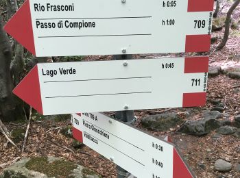 Percorso A piedi Monchio delle Corti - Torrente Colla - Rio dei Frasconi - Passo di Compione - Photo