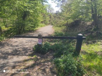 Excursión Bicicleta híbrida Dammarie-les-Lys - rando vélo - Photo