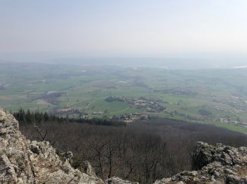 Excursión Senderismo Les Haies - Montmonnet 18-3-22 - Photo