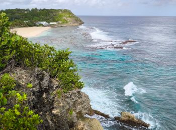 Trail Walking Anse-Bertrand - Guadeloupe - Pointe de la Petite Vigie à Pointe de la Grande Vigie - Photo