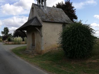 Trail Walking Malicorne-sur-Sarthe - Malicorne - Photo