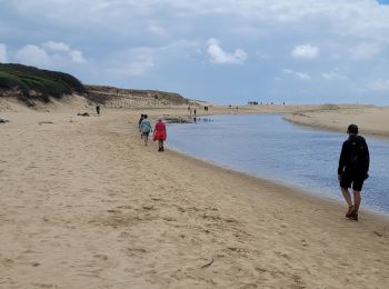 Randonnée Marche Moliets-et-Maâ - balade dans les pins avec vue sur dune - Photo