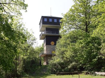 Trail On foot Goslar - Harly Rundwanderweg 1 - Photo