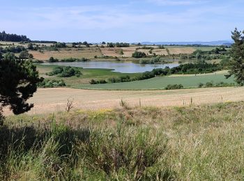 Randonnée Marche Le Monastier-sur-Gazeille - le Bouchet  - Photo