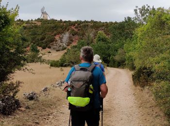 Randonnée Marche La Couvertoirade - La couvertoirade - Photo