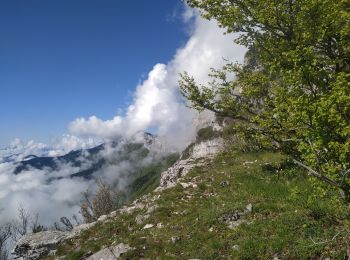 Randonnée Marche Fontaine - Entre Château Bouvier et Moucherotte  - Photo