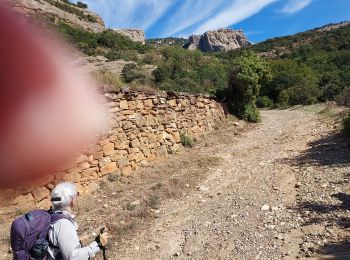 Excursión Senderismo Loporzano - Embase de Vadiello  - Photo