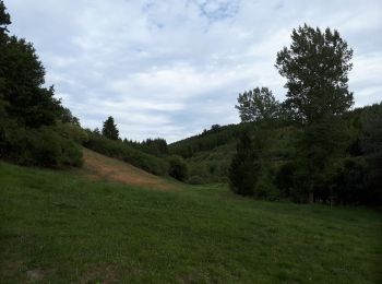 Randonnée Marche Clervaux - Eisleck Trail Jour 2 - Photo