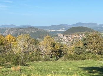 Randonnée Marche Coubon - Château de Lavalette circuit - Photo