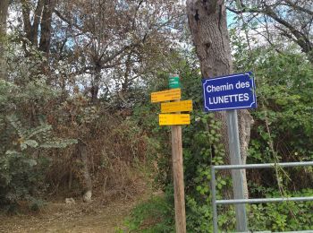 Randonnée Vélo de route Le Grau-du-Roi - 30 Lunel st Laurent aigouze gallician vv - Photo