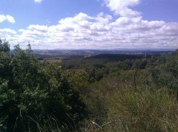 Trail Horseback riding Belvèze-du-Razès - Tour du Razès - Photo