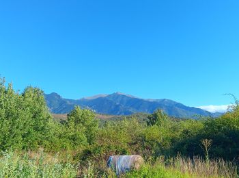 Tour Wandern Prades - codalet . coll de Clara . abbaye St Michel de Cuxa . canal bohère - Photo