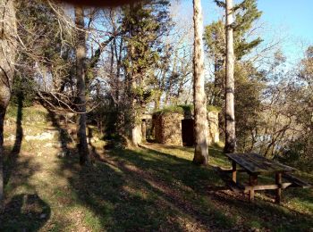 Excursión Senderismo Mauzac-et-Grand-Castang - Mauzac 12,7km - Photo