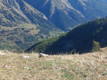 Trail Walking Réallon - AIguilles de Chabrieres au départ de la Station de ski Reallon - Photo