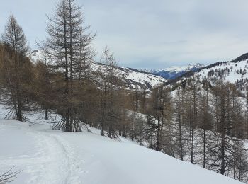 Excursión Raquetas de nieve Vars - Fontbonne - Cabane de l'Ecuelle  - Photo