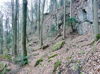 Tocht Te voet Murrhardt - Idyllische Straße Tour K - Photo