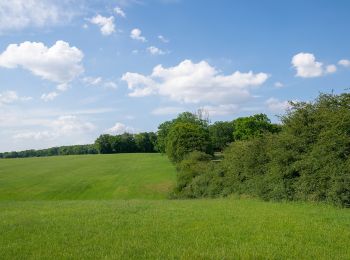 Randonnée A pied Schlangen - Rundwanderweg A1 [Kohlstädt] - Photo