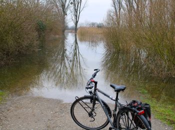 Randonnée A pied Inconnu - Urdenbacher Kämpe - Durch die Obstwiesen zur Feuchtwiese - Photo