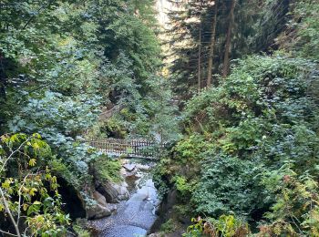 Tocht Stappen Salvan - Les gorges à Martigny - Photo