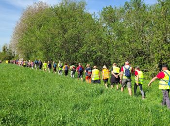 Tocht Stappen Montescourt-Lizerolles - Montescourt-Lizerolles du 14-04-2024 - Photo