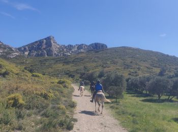 Randonnée Randonnée équestre Eygalières - 2019-04-29 Rando CVA Alpilles La Sarriette Ranch Petit Roman - Photo