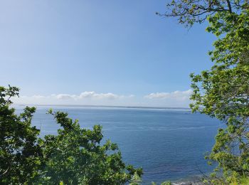 Excursión Bicicleta híbrida Brest - 24 mai 20 - Photo