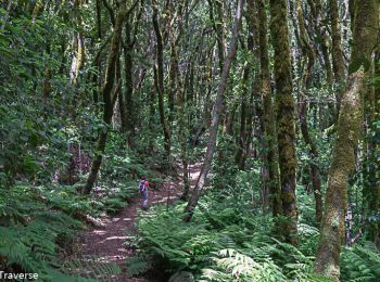 Excursión Senderismo Hermigua - El Cedro dans le parc national de La Gomera - Photo