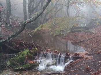 Tour Wandern Rosis - Caroux dans le brouillard  - Photo