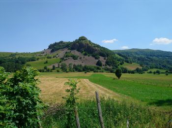 Excursión Senderismo Dienne - Cantal - Dienne - Drils et Laqueille - 7.2km 205m 2h50 - 2019 07 05 - Photo