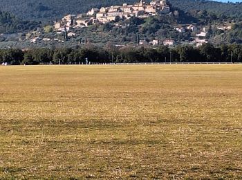 Tocht Stappen Château-Arnoux-Saint-Auban - tour de l'aérodrome  - Photo