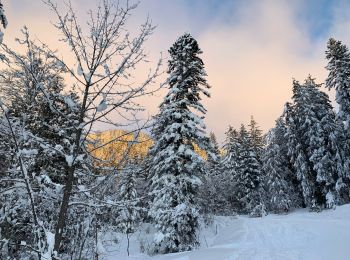 Percorso Racchette da neve Saint-Jean-de-Sixt - Le panorama du Danay (14) - Photo